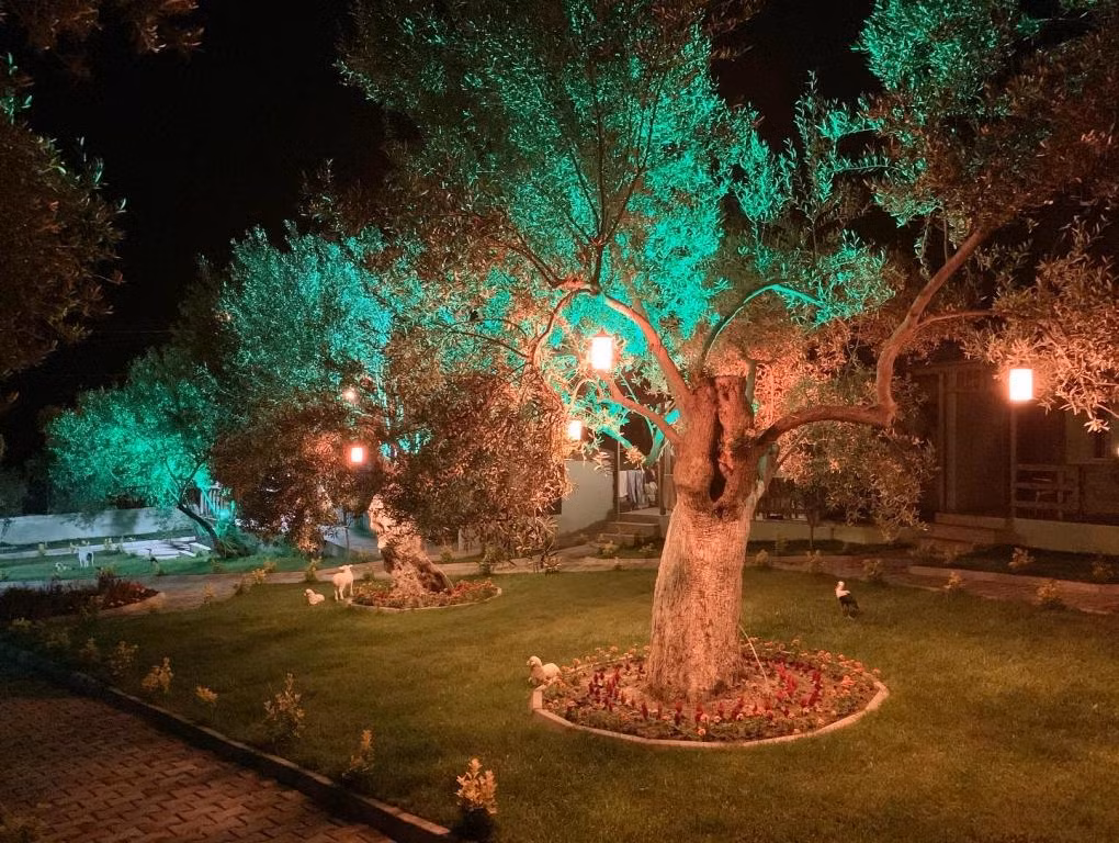 Balım butik hotel — 3