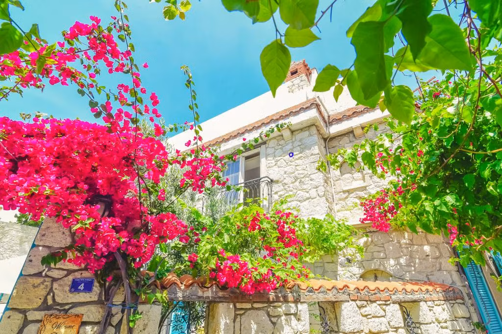 Alaçatı Asmalı Konak Otel — 4
