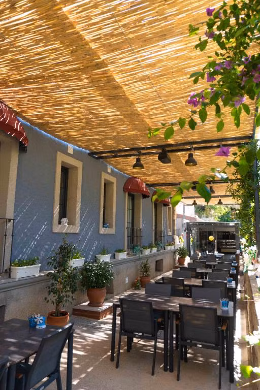 Çatı Plus Alaçatı — 4