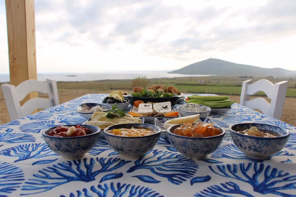 Pelin Inn Ada Evi — 8