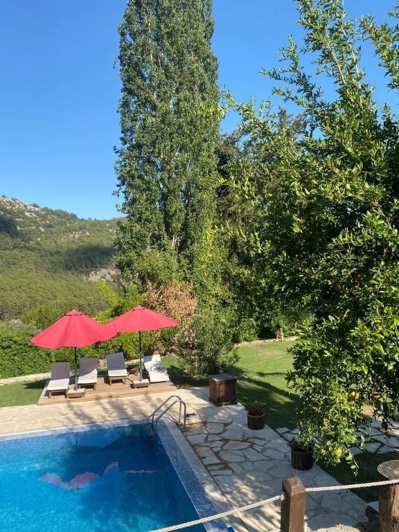 Lycia Nature House — 4