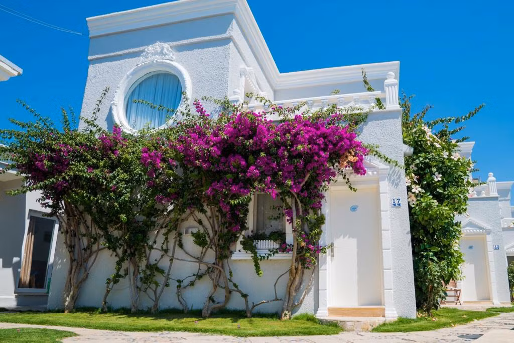 Art Suites Hotel Bodrum — 5