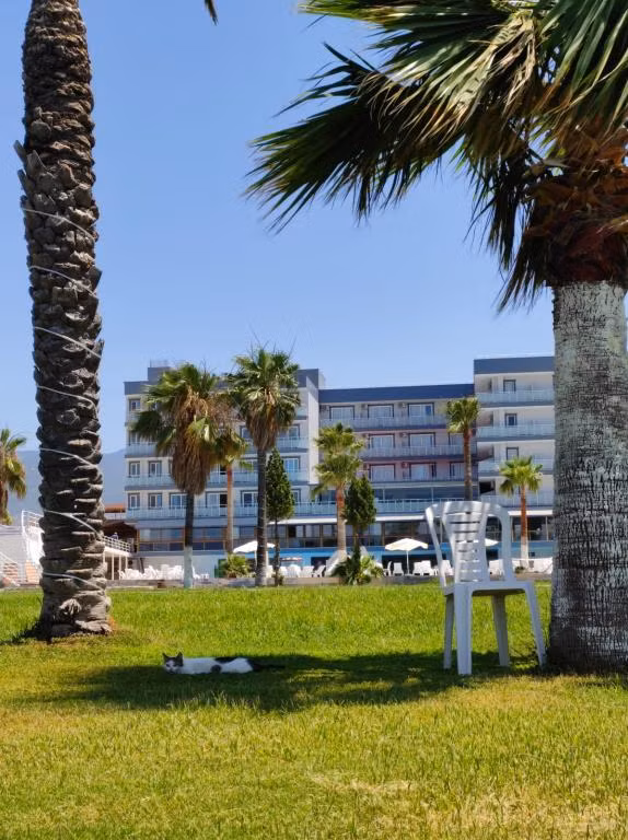 Diva Turka Beach Hotel — 8