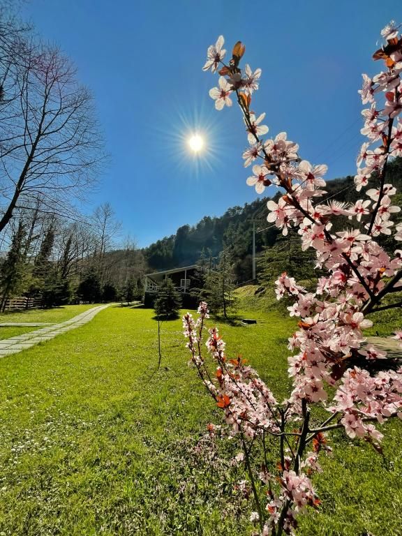 Feel and Live Hotel Sapanca — 2