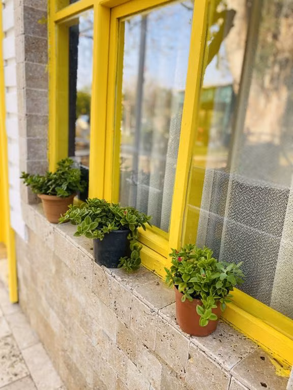 Çıralı Marina Loft ( +8 ) — 7