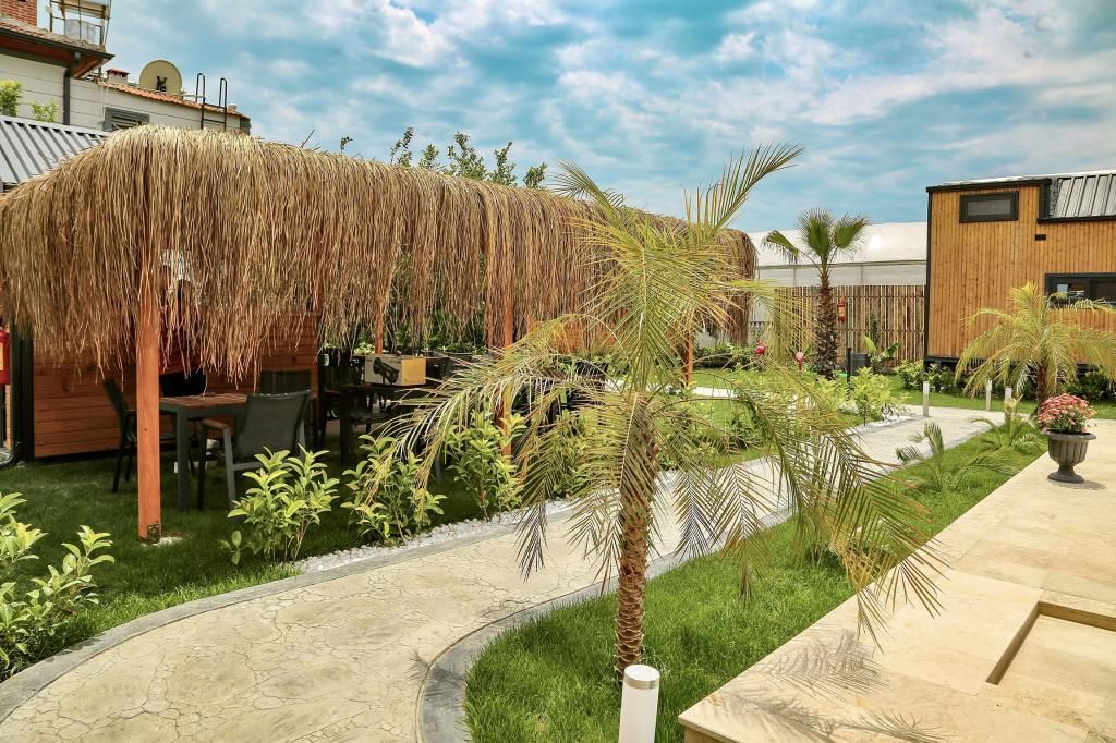 Hotel Palm House  — 9