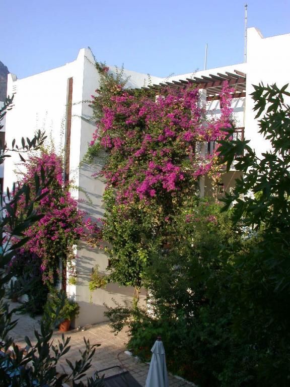 Ece Hotel Göltürkbükü  — 9