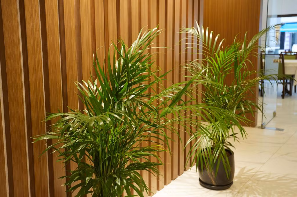 Mira Otel Alsancak — 9