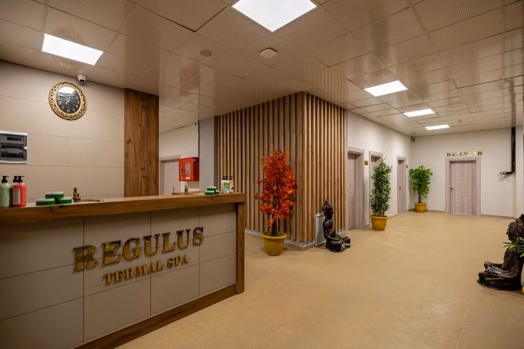 Afyon Regulus Thermal Apart Hotel & Villas — 6