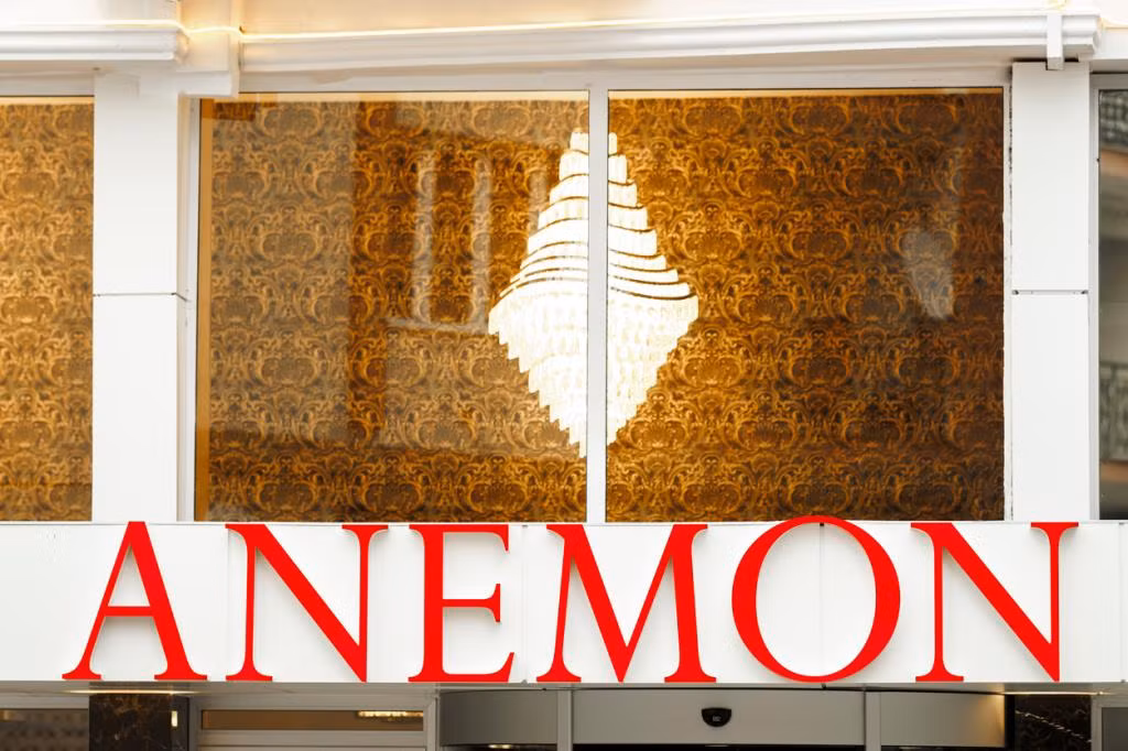 Anemon Uşak Otel — 4