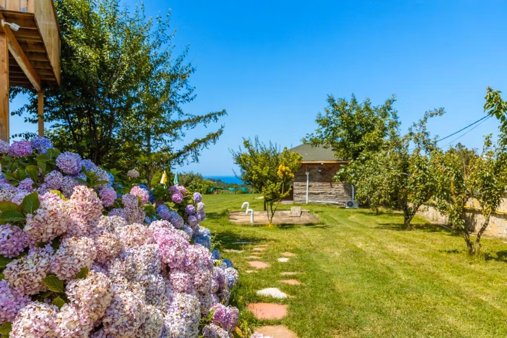 Ağva Teras Garden Hotel & Bungalow — 9