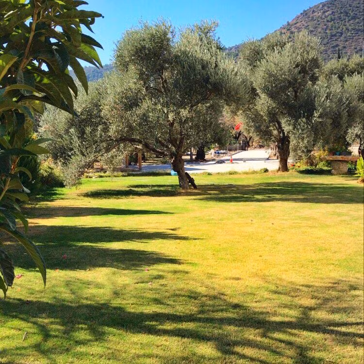 Oliva Casa Apart Hotel — 6