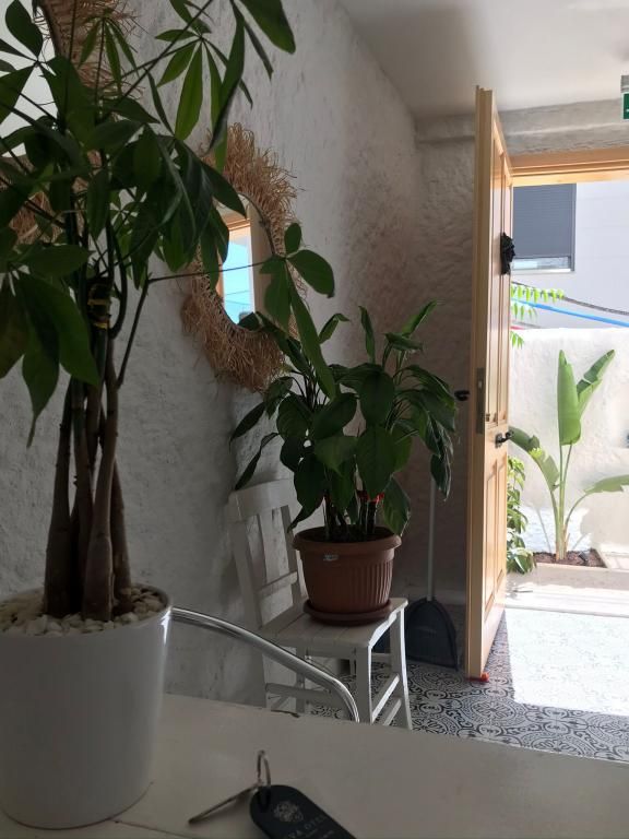 Eva Otel Çeşme — 3