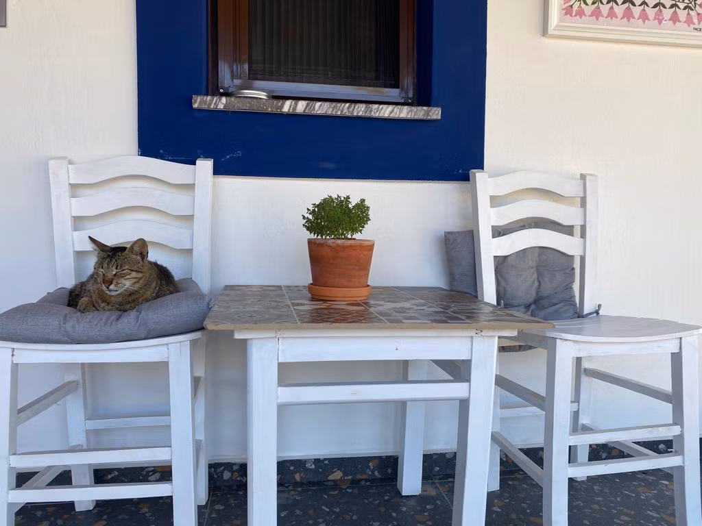 Pelin Inn Ada Evi — 7