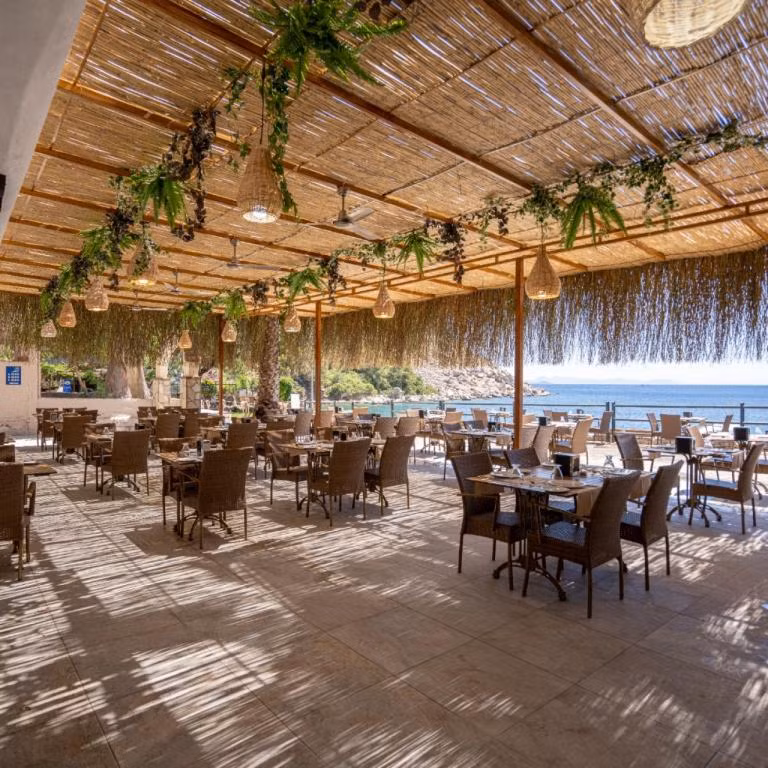 Mavi Deniz Hotel Turunç — 6