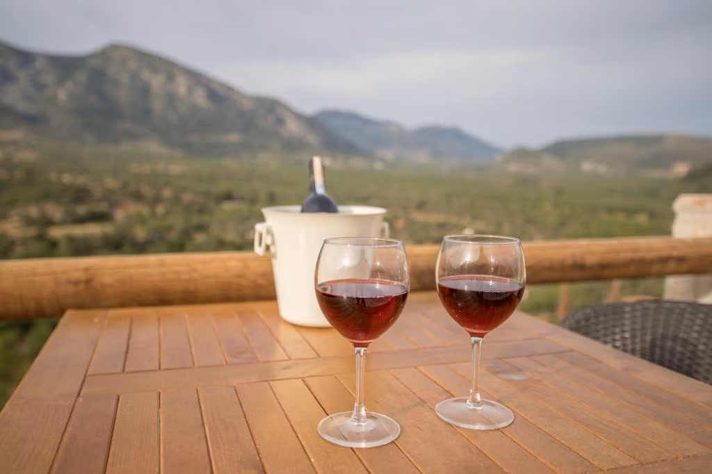 Karia Hotel Palamutbükü — 9