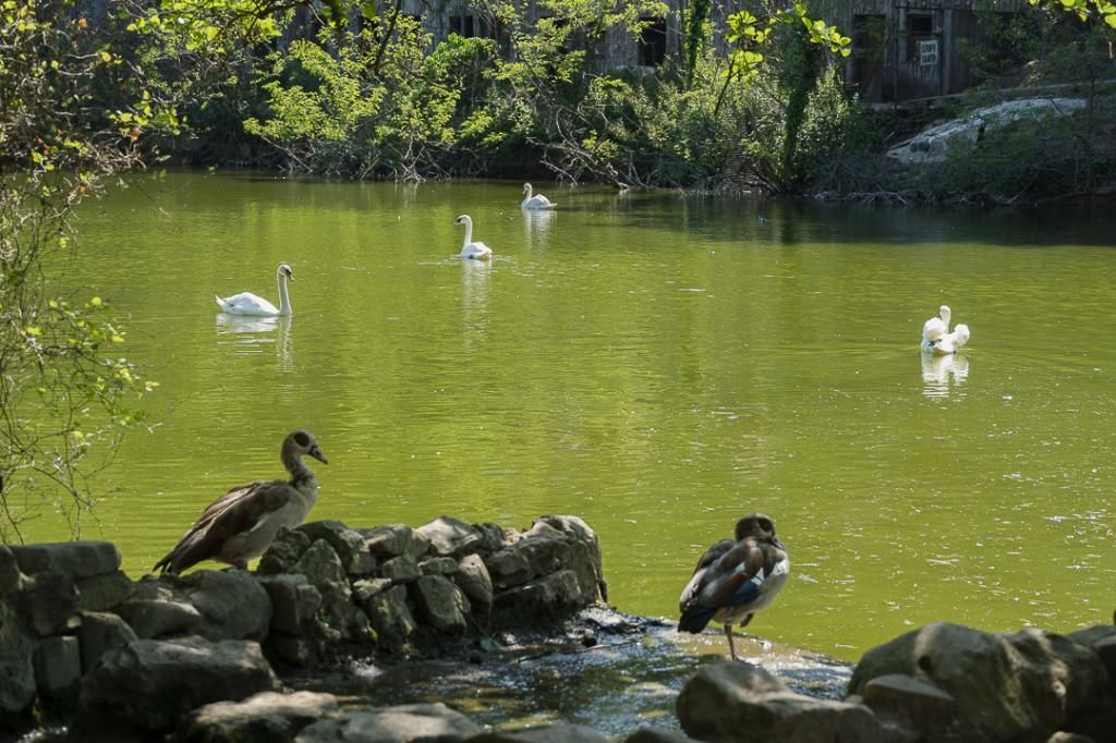Polonezköy Country Club — 4