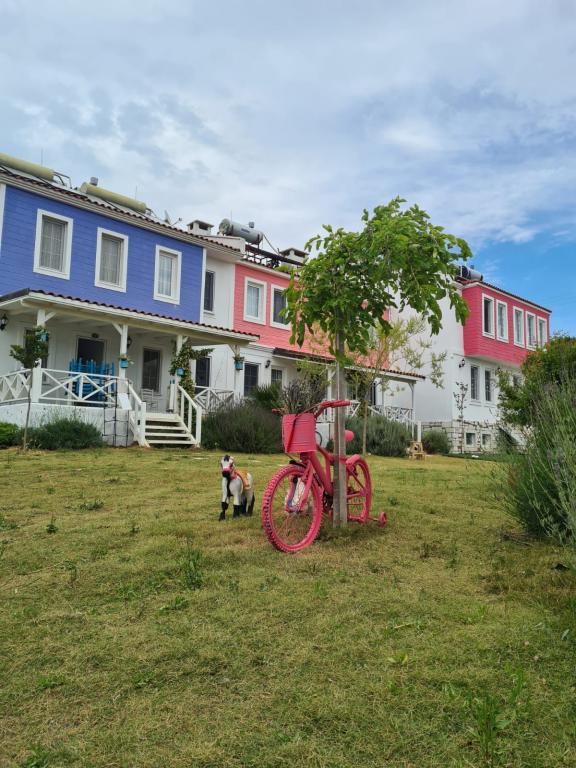 Çapari Bozcaada