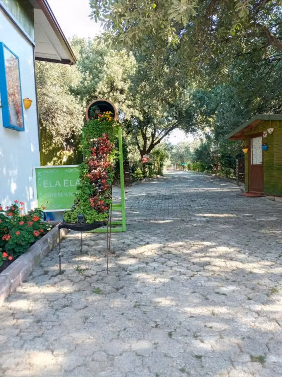 Ela Ela Bungalov Evler