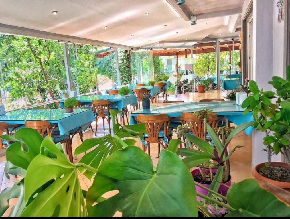 Bedia Otel — 3