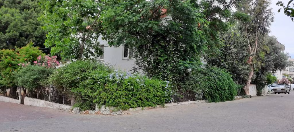 Ecer Pansiyon Güzelçamlı — 9