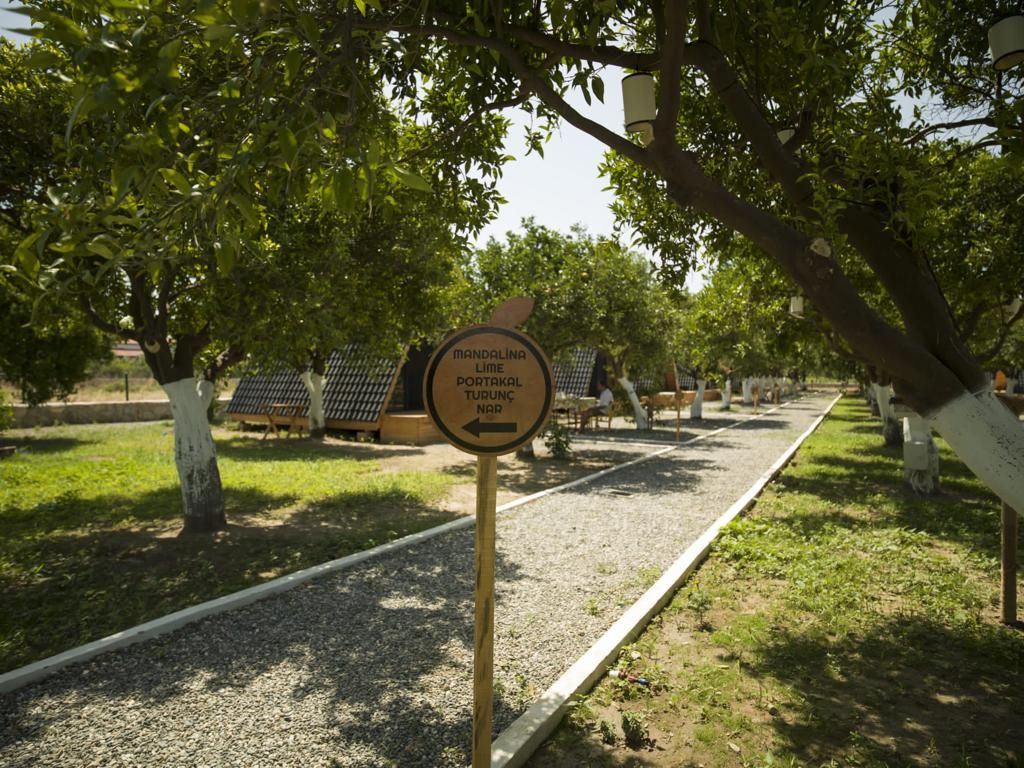 Limon Datça — 9