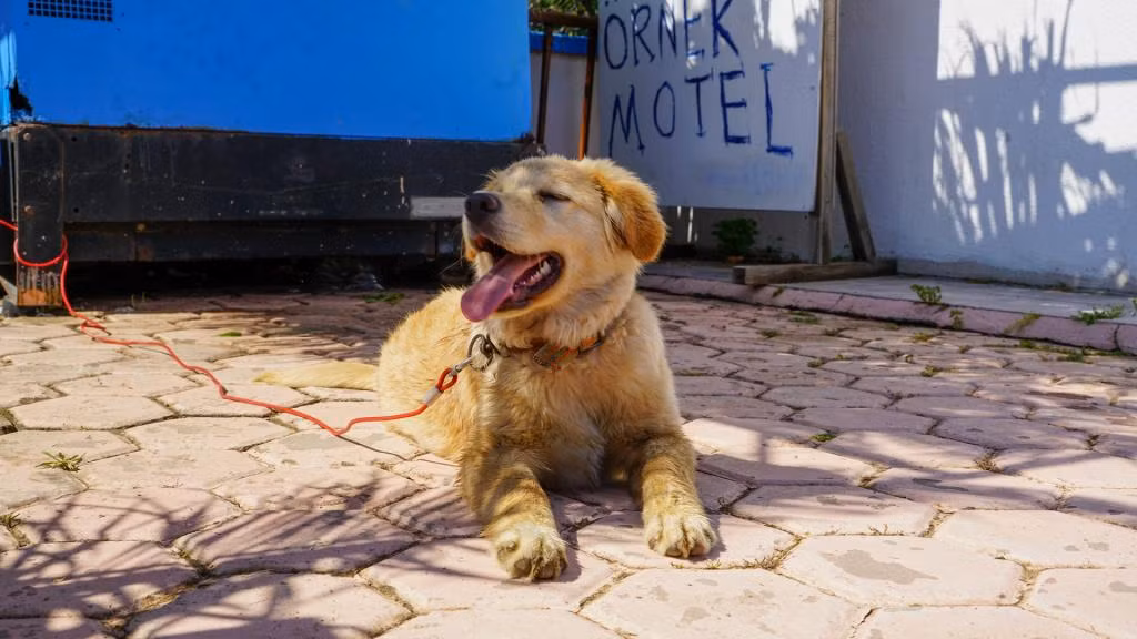 Örnek Motel — 9