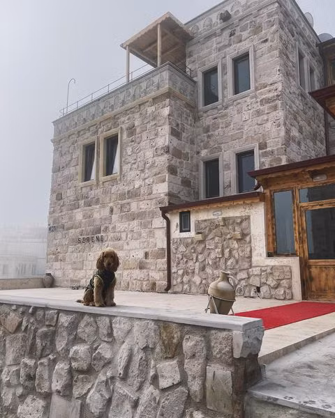 Serene Premium Stone House — 3