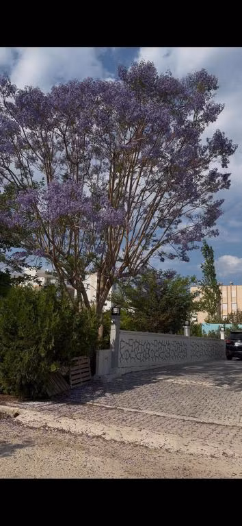 Şahiner Apart Otel