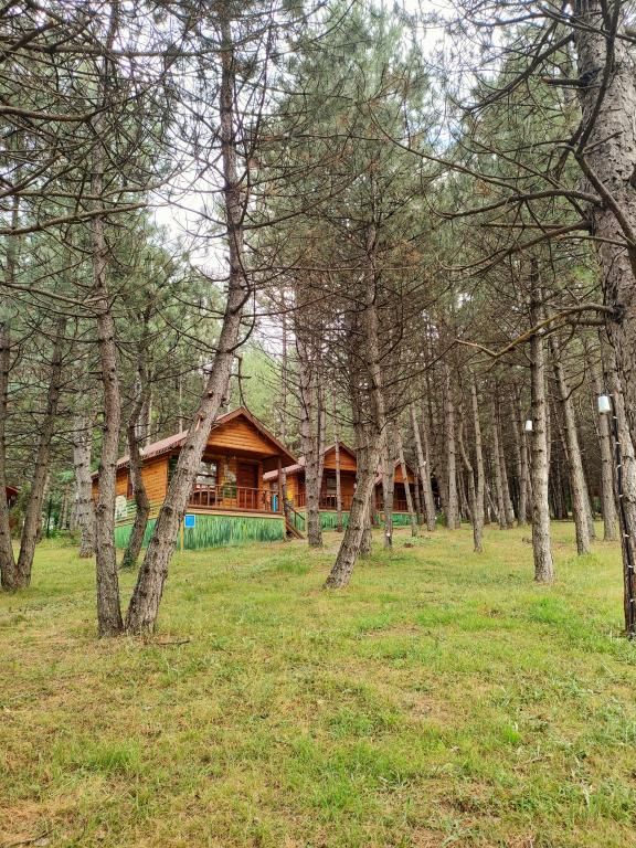 Çampınarı Doğa Evleri & Restaurant — 4
