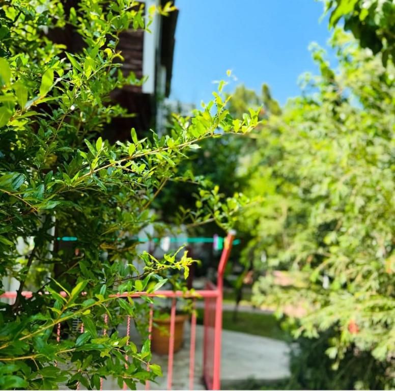 Çavuşoğlu Pansiyon — 6