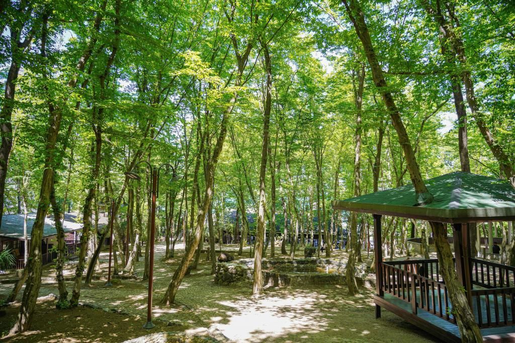 Çerkezler Tepesi Bungalov Otel — 8