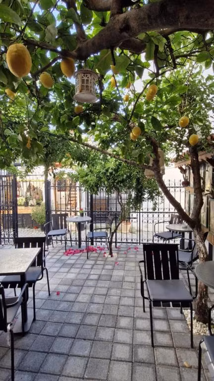 Şiirli Pansiyon Kafe Bar Sığacık  — 2