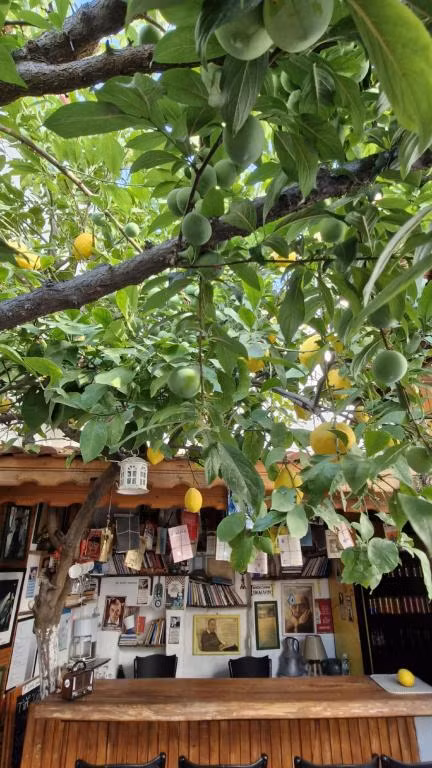 Şiirli Pansiyon Kafe Bar Sığacık  — 10