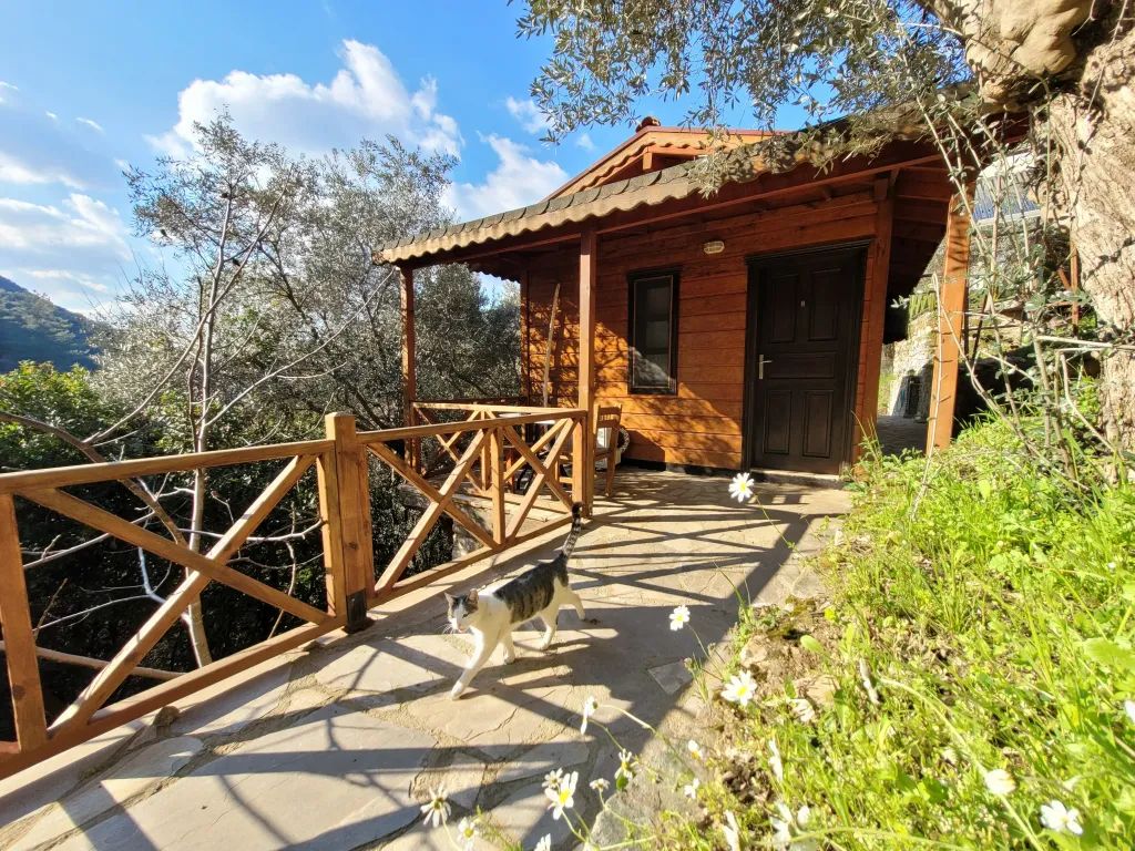 Şirincem Saklı Vadi