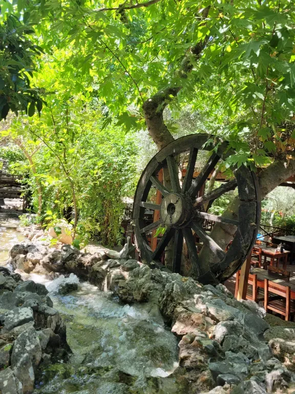 Şirincem Saklı Vadi — 8