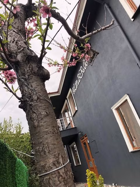 İkbalin Yeri ( Olimbera ) — 3