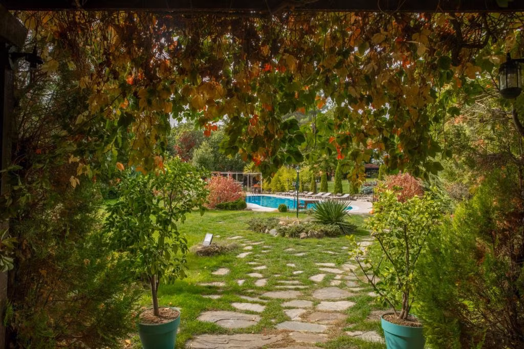 İliada Hotel Kazdağı Ormanları — 6