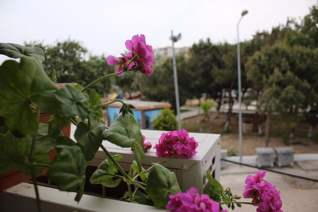 İmbat Pansiyon Bozcaada — 5