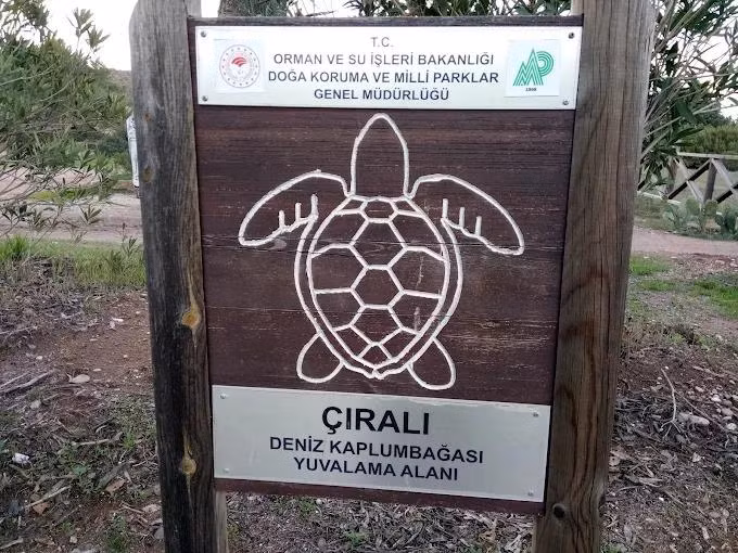 Çıralı Camping & Bungalows — 7