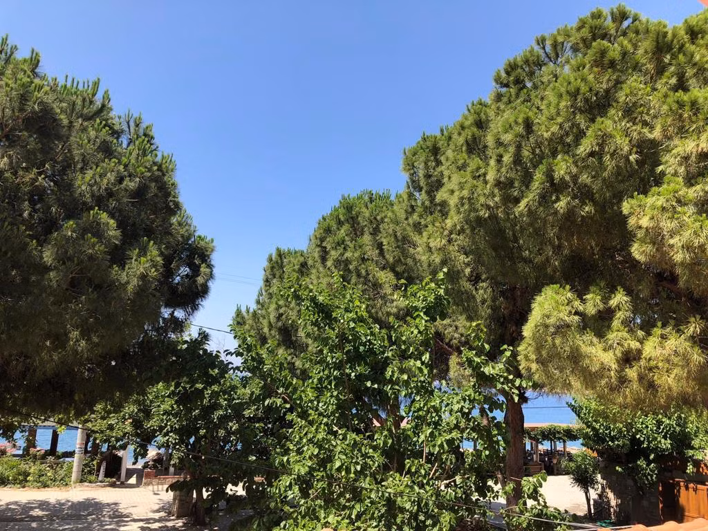 Özdemir Otel Datça — 3