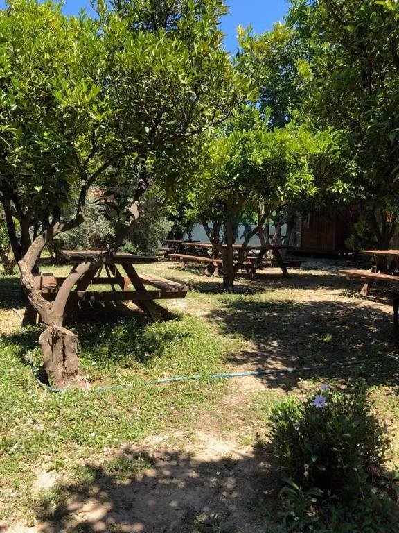 Can Otel Urla — 9