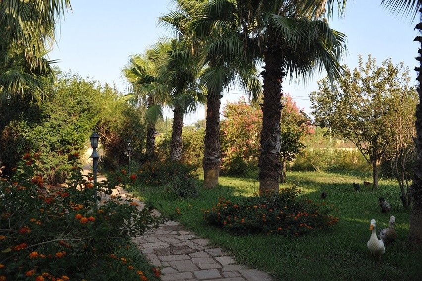 Hemerans Anatolia — 5