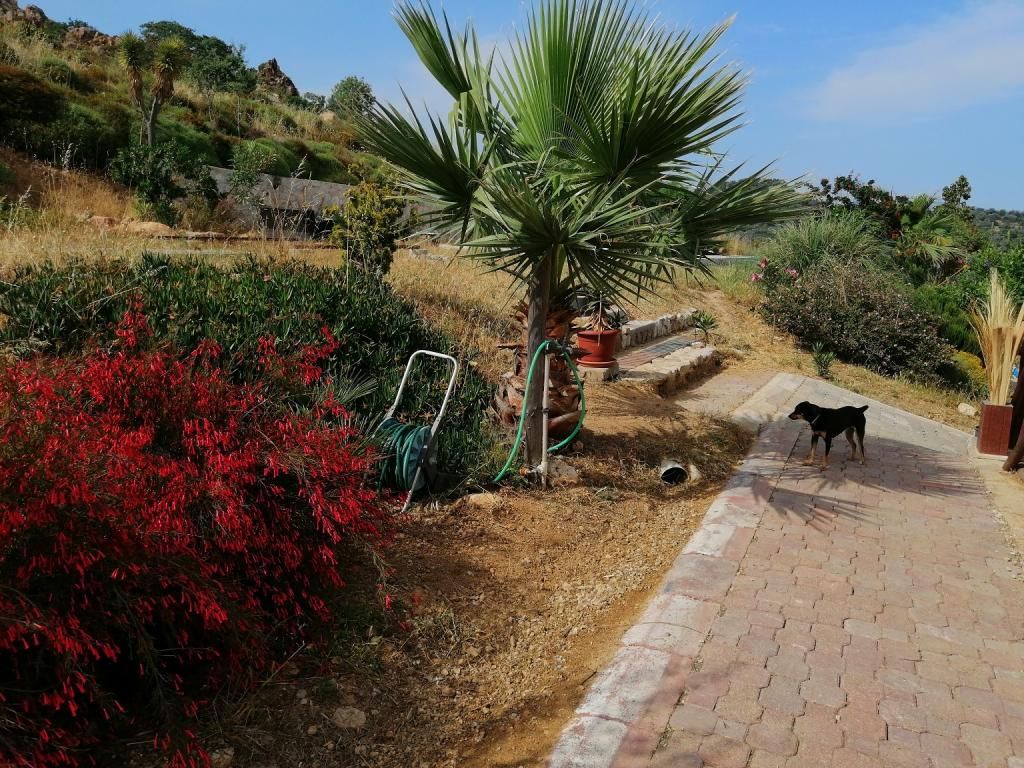 Eco Farm Boutique Otel  — 6