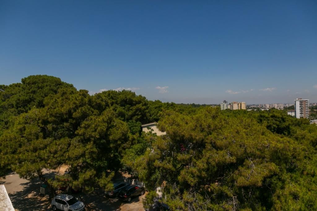 Enda Lara Hotel — 6