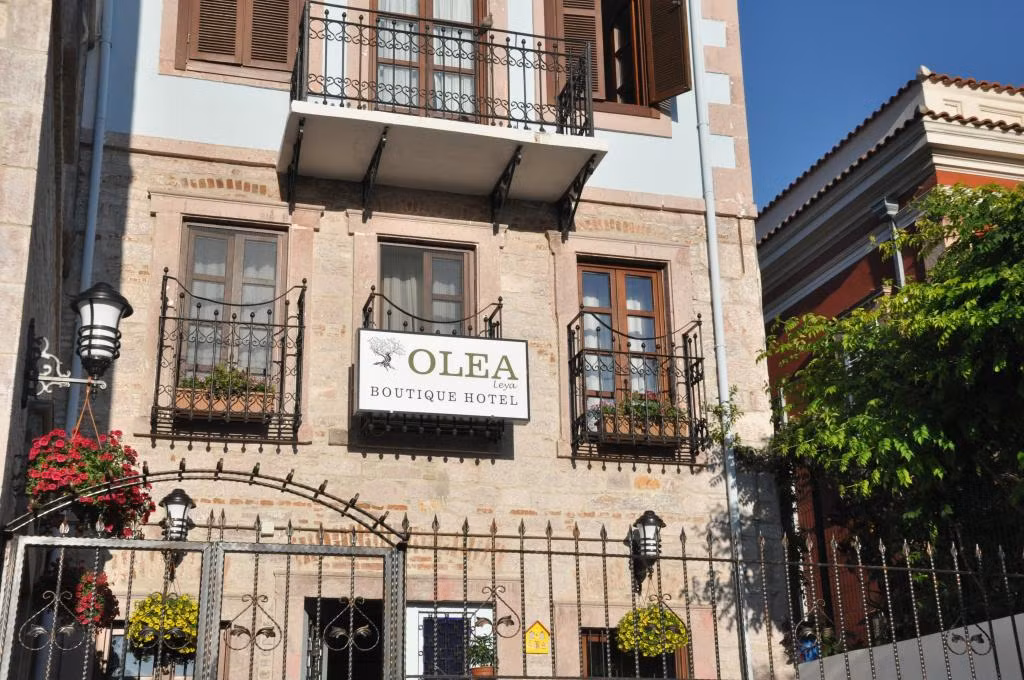Olea Leya(+5 Yaş) — 4