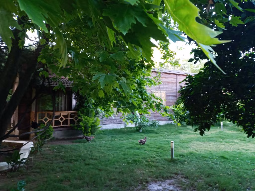 Maji Village — 4