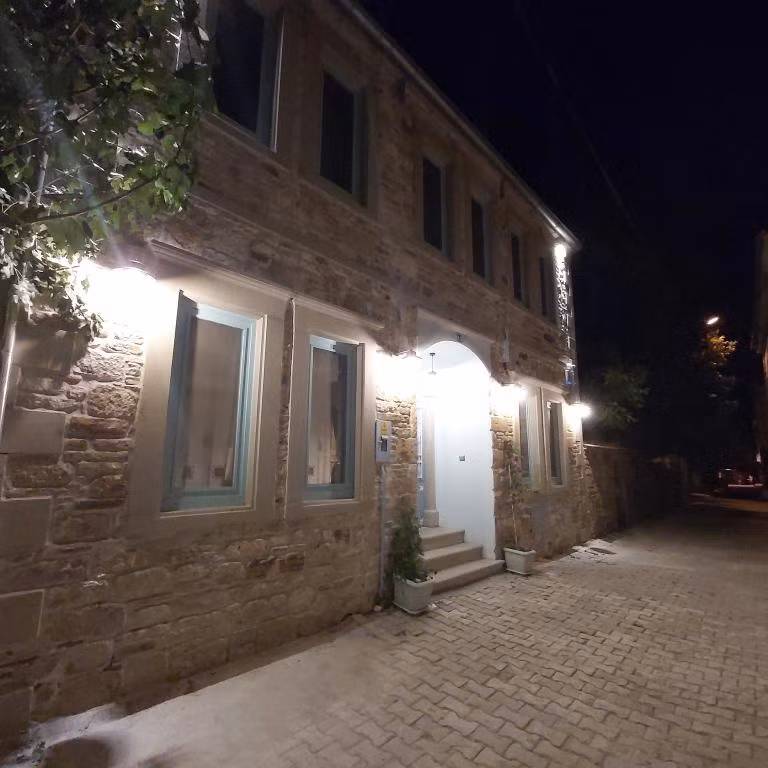 Foça Limon Ağacı — 4
