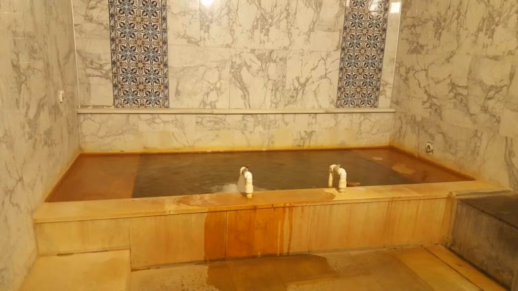 The Green Park Termal Hotels Sivas — 2