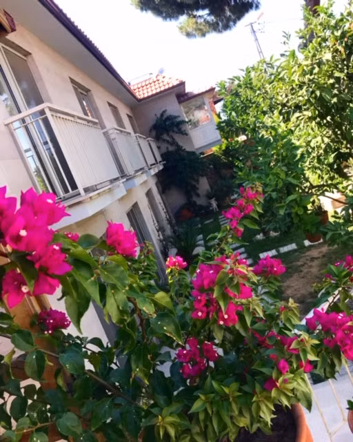Bademli Garden Suit — 4